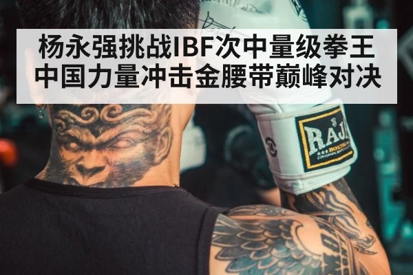 杨永强挑战IBF次中量级拳王中国力量冲击金腰带巅峰对决